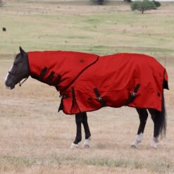 NRS Turnout Horse Neck Cover