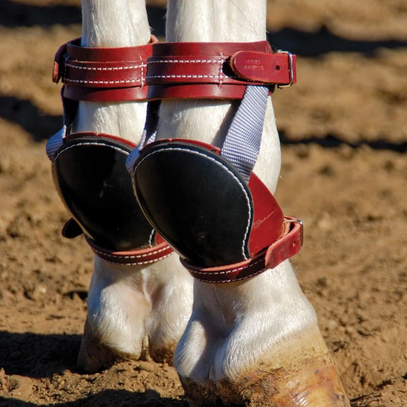 NRS Ed Galemba Roper Skid Horse Boots 2 NRS Ed Galemba Roper Skid Horse Boots - Image 2