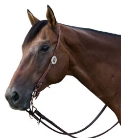 Nrs Tack Headstall With A Single Sunflower Buckle -Nrs NRS SLTEHO 410D 1