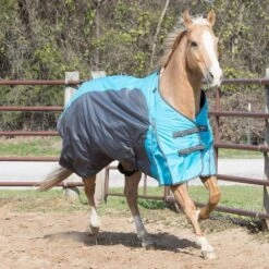 NRS New Turnout Horse Blanket -Nrs NRS TSHEET Lifestyle