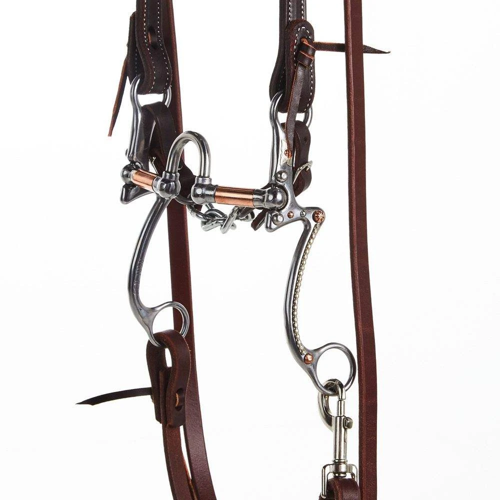Nrs Tack Horse Bridle Set With Correctional Port 7 Shank Bit 2 Nrs Tack Horse Bridle Set With Correctional Port 7 Shank Bit - Image 2
