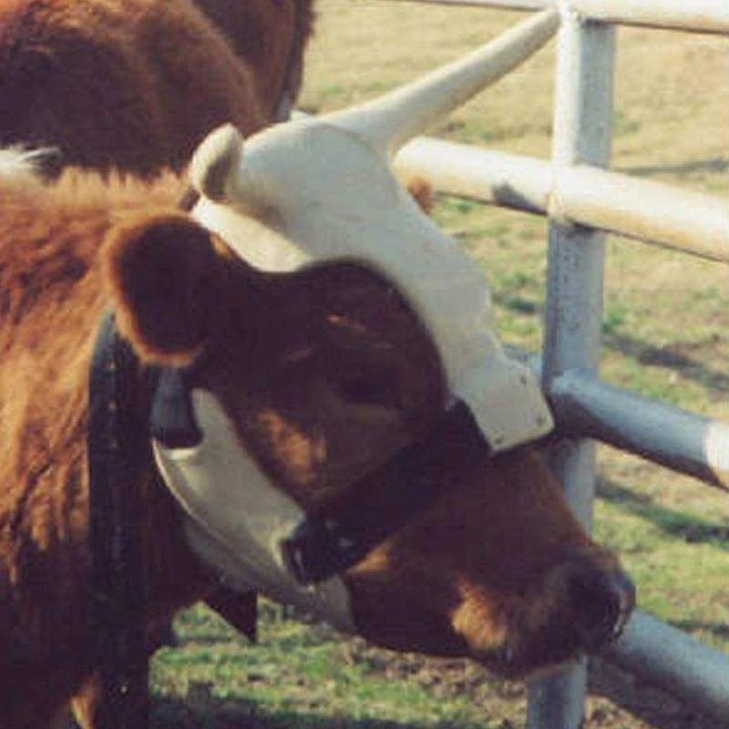 NRS Strap On Muley Horns 3 NRS Strap On Muley Horns - Image 3